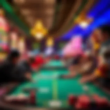 Magnificent An In-Depth Examination of Florida Derby Betting Strategies