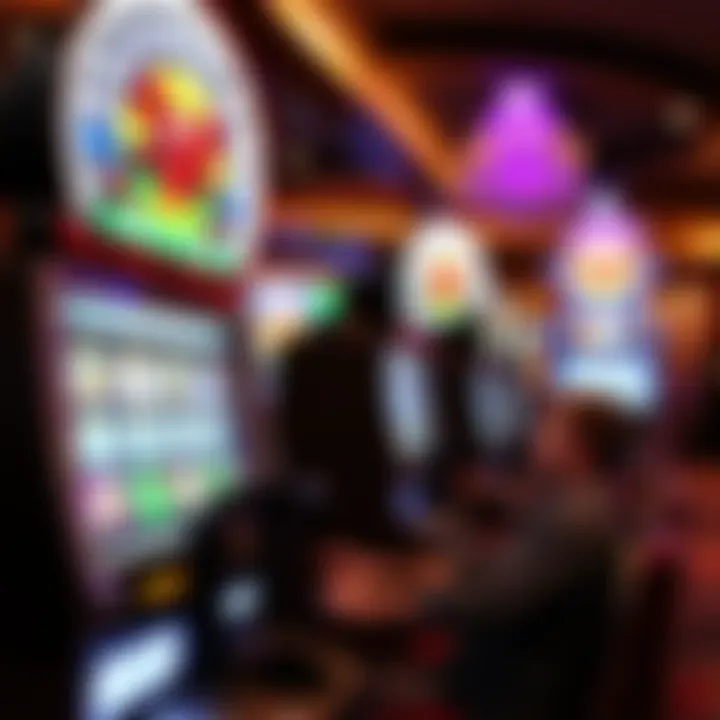 Magnificent Exploring Coushatta Free Play: Opportunities and Insights
