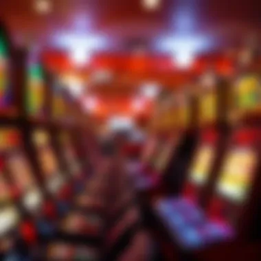 Societal Impact of Lottery Participation Societal impact of lottery participation