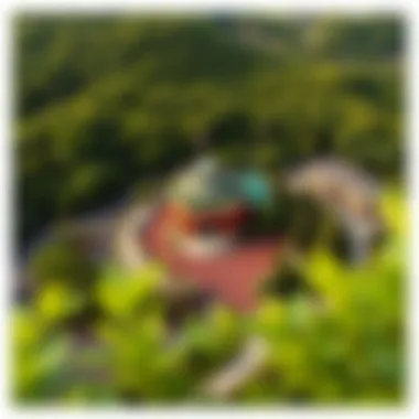 Aerial View of West Virginia Casino Aerial view of a prominent casino in West Virginia surrounded by lush greenery