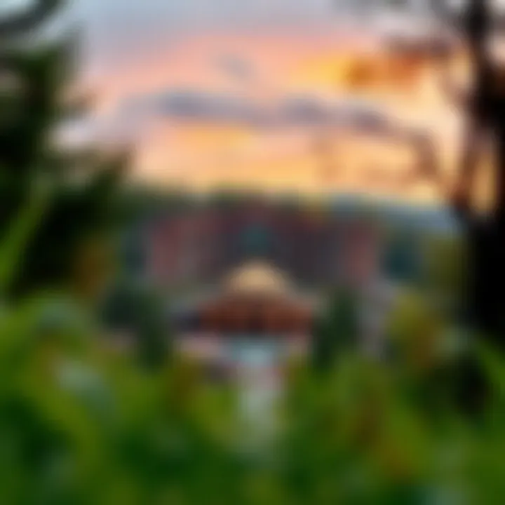 A scenic view of a casino resort surrounded by nature