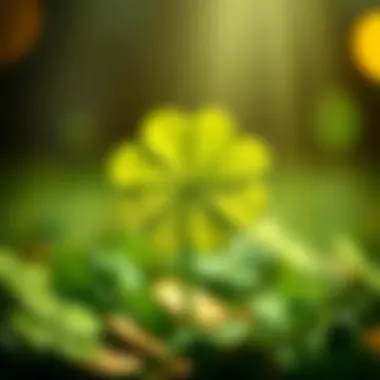 An artistic depiction of a four-leaf clover symbolizing luck and fortune